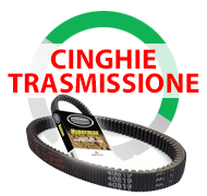 cinghie trasmissione